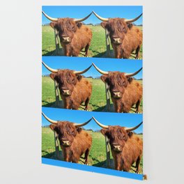 Dolly Scottish Highland Cow Wallpaper