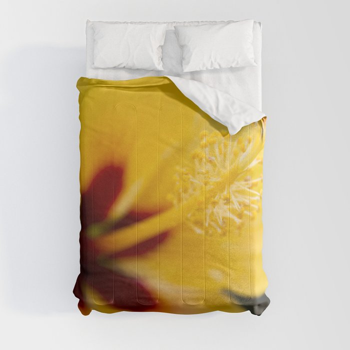 Boreas Tropical Hibiscus Lemon Drop Comforter