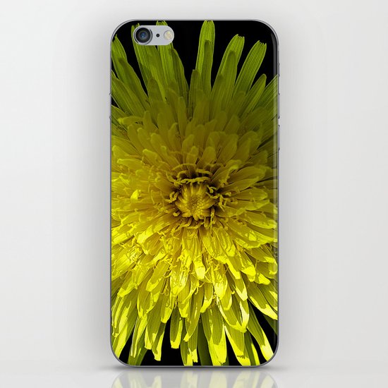 Dandelion iPhone & iPod Skin