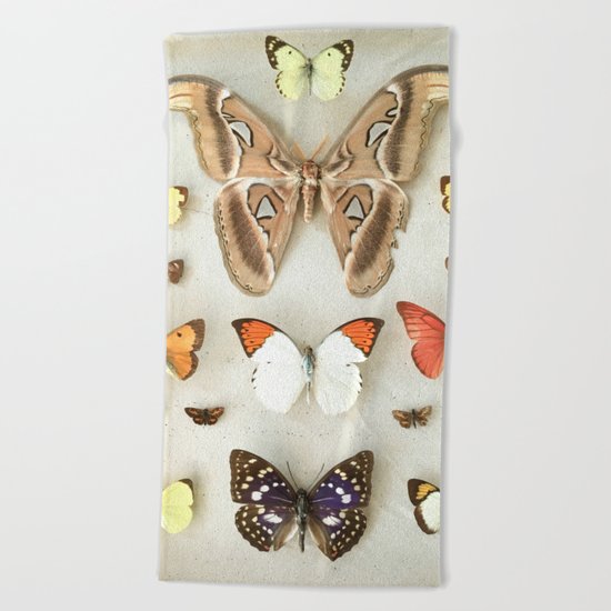 Butterflies and Moths Beach Towel