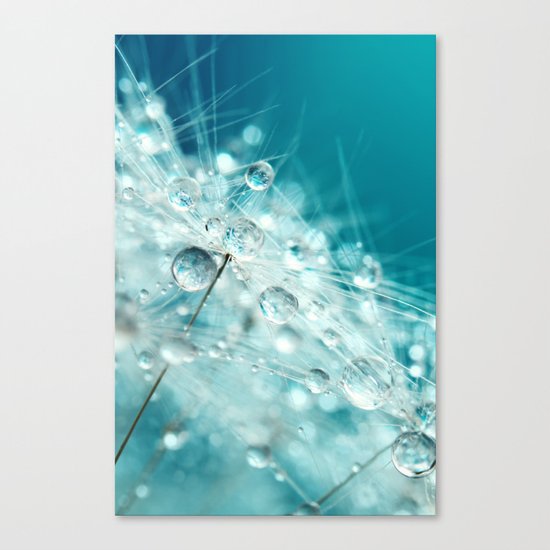 Dandy Starburst in Blue Canvas Print