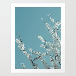 It's time to Blossom | fine art flower photo print Art Print