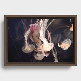Oh to Be a Jellyfish Again Framed Canvas
