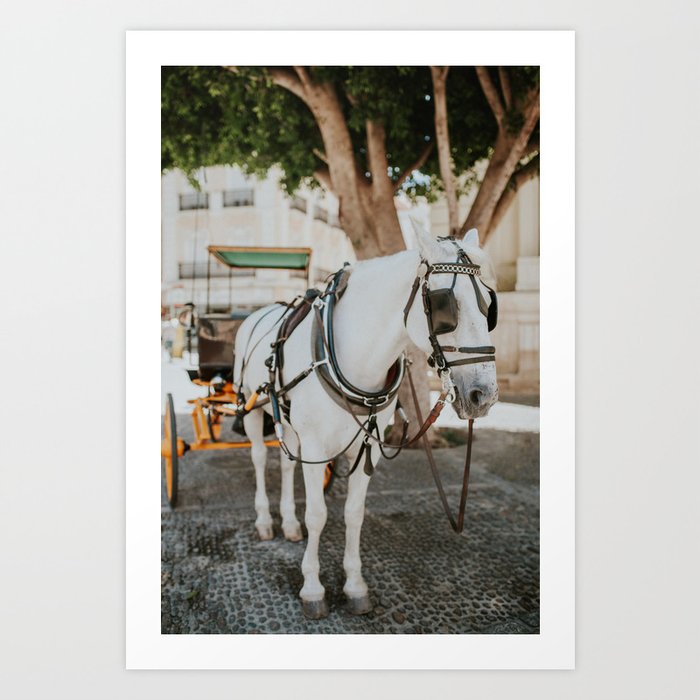 White Horse in Seville Art Print