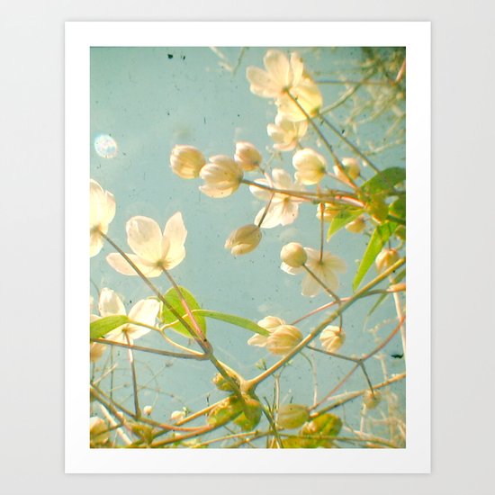 Tangled Art Print