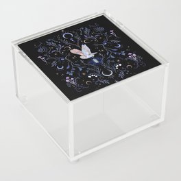 Moonlight Owl Acrylic Box