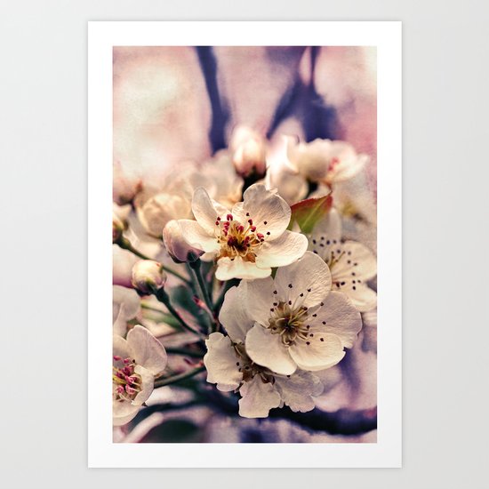 Blossoms at Dusk - vintage toned & textured macro photograph Art Print