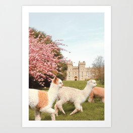 Windsor Art Prints For Any Decor Style Society6
