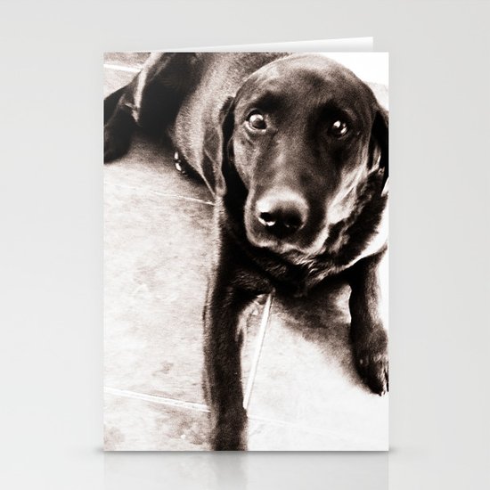 Dog Stationery Cards