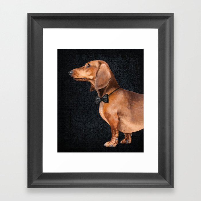 Elegant dachshund. Framed Art Print
