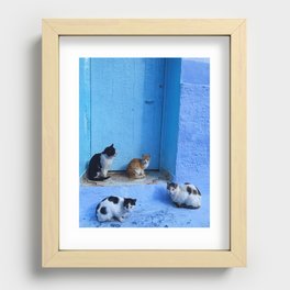 Cats in Chefchaouen Recessed Framed Print