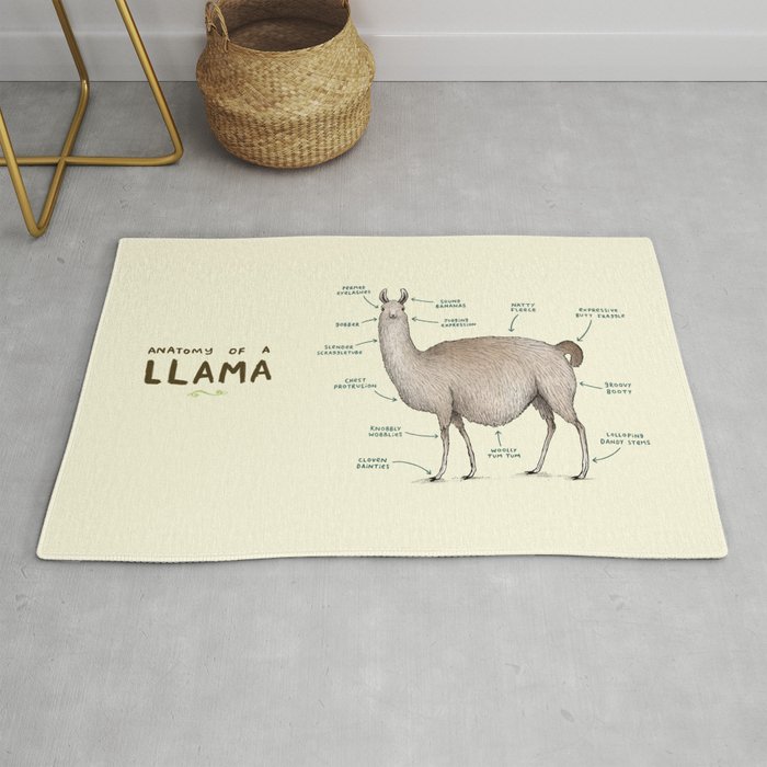 Anatomy of a Llama Rug