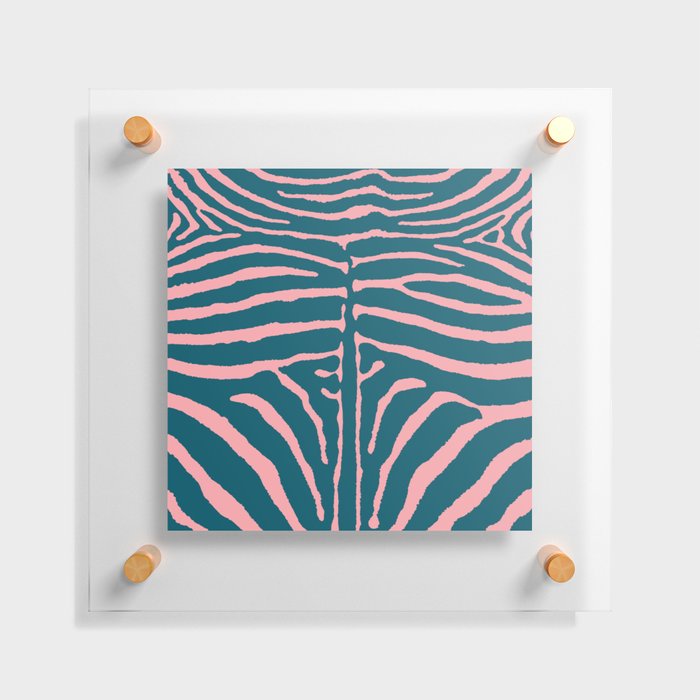 Zebra Wild Animal Print 263 Teal and Pink Floating Acrylic Print