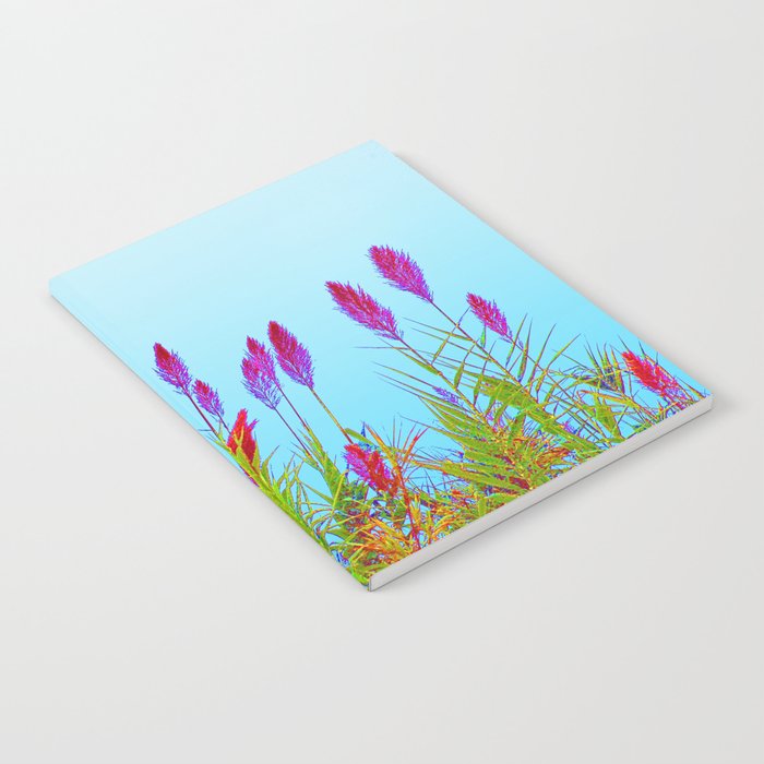 Flowering Pampas Grass Colorful Plumes Notebook