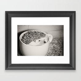 Disgruntled Hedgie Framed Art Print