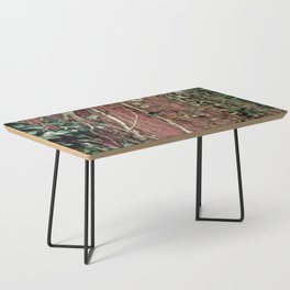 Ivy 2 Coffee Table