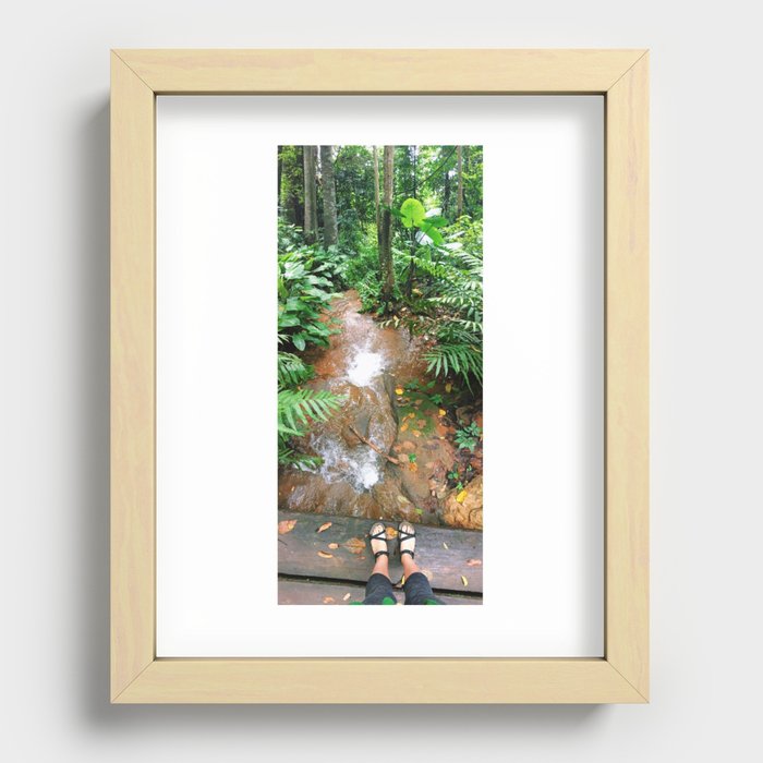 Thailand Forest Recessed Framed Print