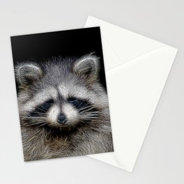 Spiked Raccoon in Black and White Stationery Card