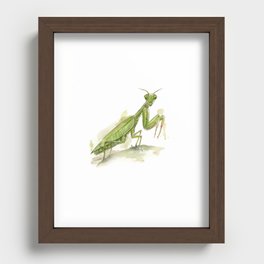 Botanical Praying Mantis Recessed Framed Print