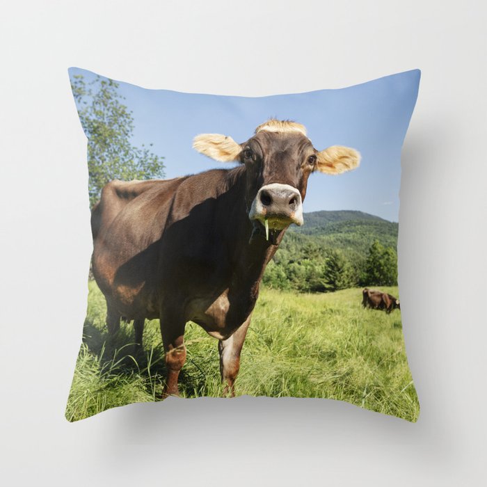 Cow throw pillows online