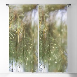 Pine Tree close up - Nature & botanical photography - Green simplistic image Blackout Curtain