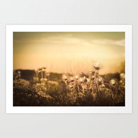 The Eclipse Art Print