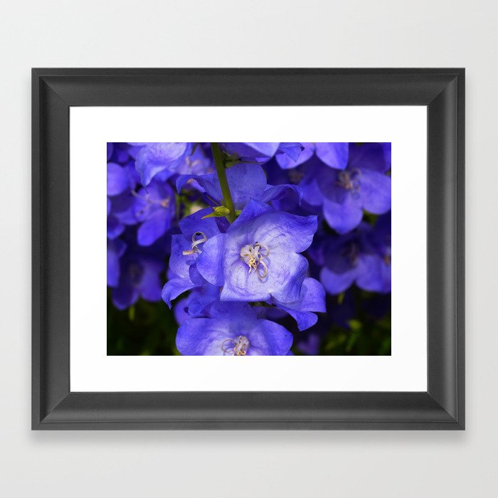 Tiny Purple Flowers Framed Art Print