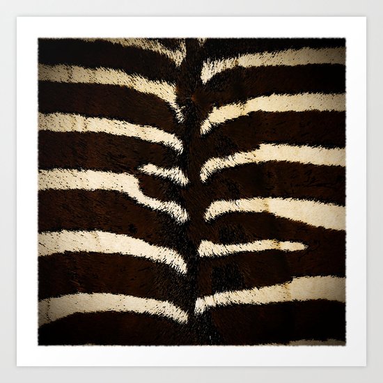 Zebra Art Print
