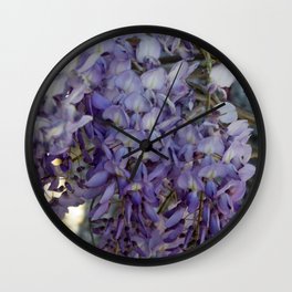 Close Up of Violet Wisteria Flowers Wall Clock