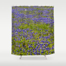 Texas Bluebonnets - Fredericksburg Shower Curtain