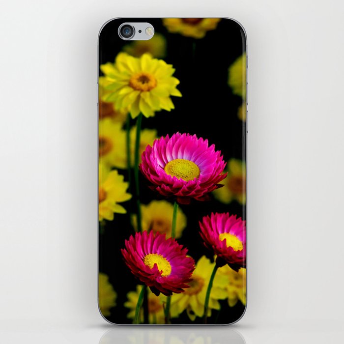 Flowers iPhone Skin