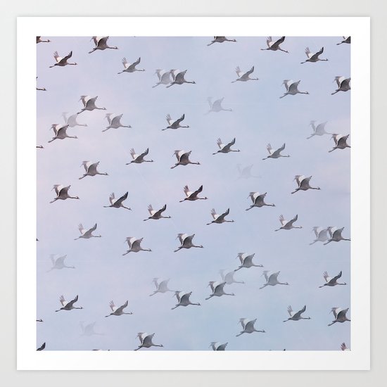 Cranes in Flight II Art Print