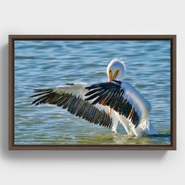Evening bath with a Pelican Framed Canvas