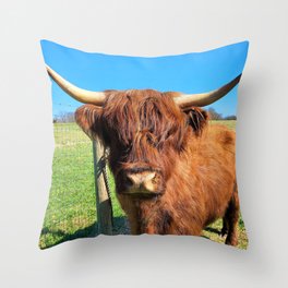 Dolly Scottish Highland Cow Throw Pillow