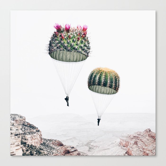Flying Cacti Canvas Print