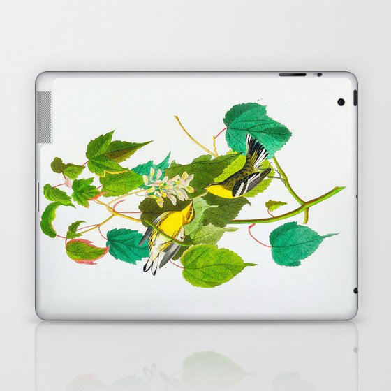 Hemlock Warbler Bird Laptop & iPad Skin