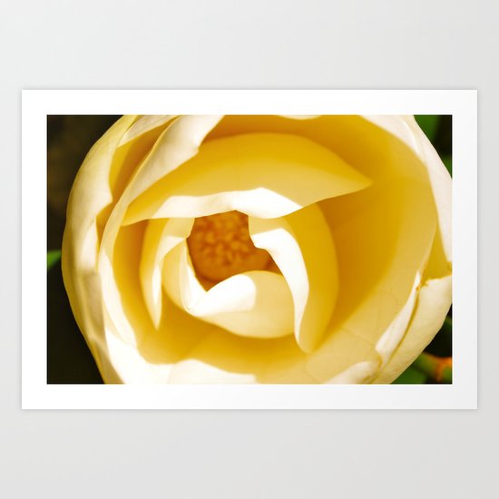Natural Beauty Art Print