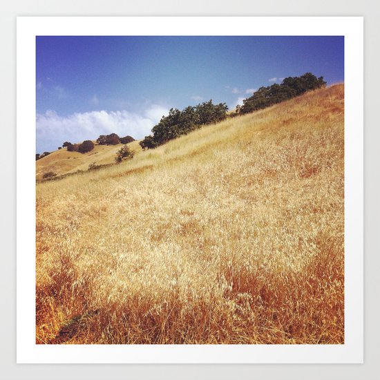 Hillside, Marin County, CA Art Print