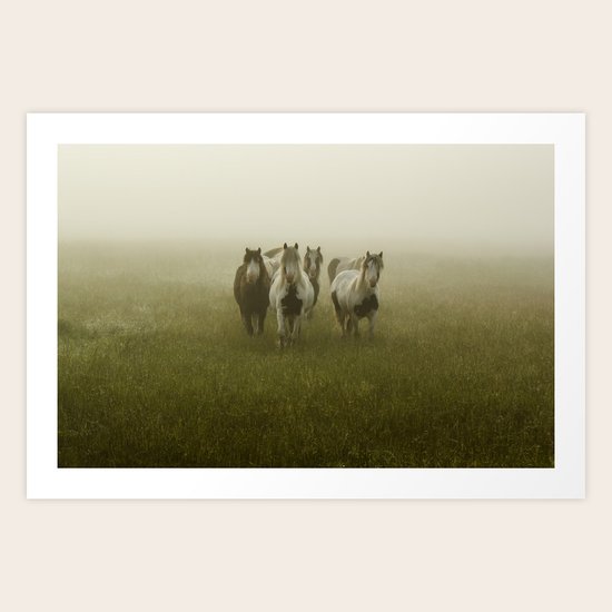 Curiosity Art Print