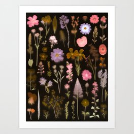 Pressed Flowers, Herbarium Art Print
