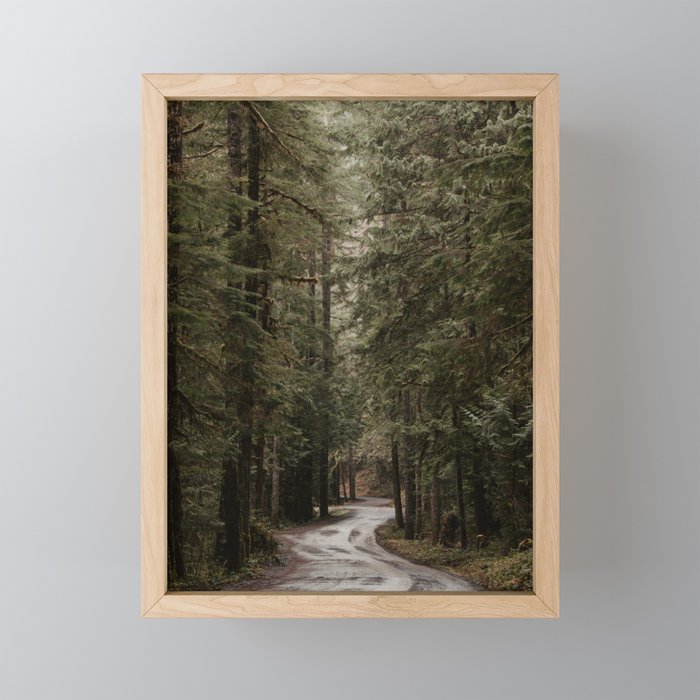 Rainforest Road Framed Mini Art Print