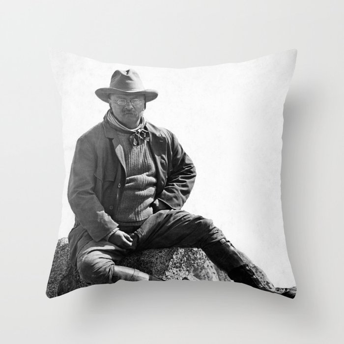 Theodore Roosevelt Sitting At Glacier Point Throw Pillow