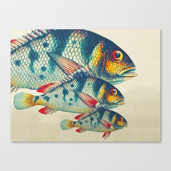 Fish Classic Designs 3 Canvas Print