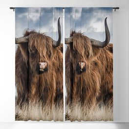 Scottish Highland Cow | Scottish Cattle | Cute Cow | Cute Cattle 06 Blackout Curtain