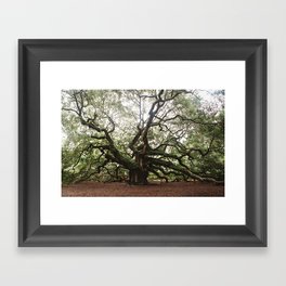 The Angel Oak Framed Art Print
