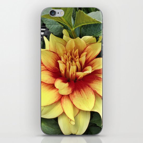 Flower of Hope iPhone & iPod Skin
