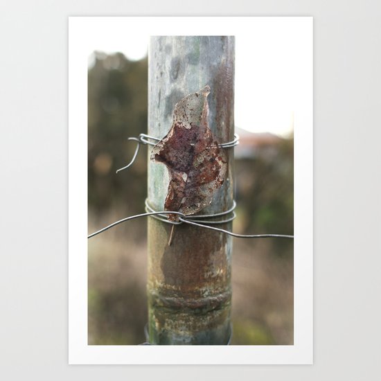 Solitary Art Print