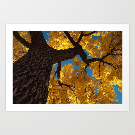 latter hour Art Print