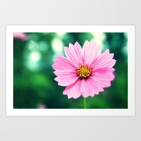 Pretty in Pink Art Print
