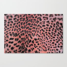 Pink leopard print Canvas Print